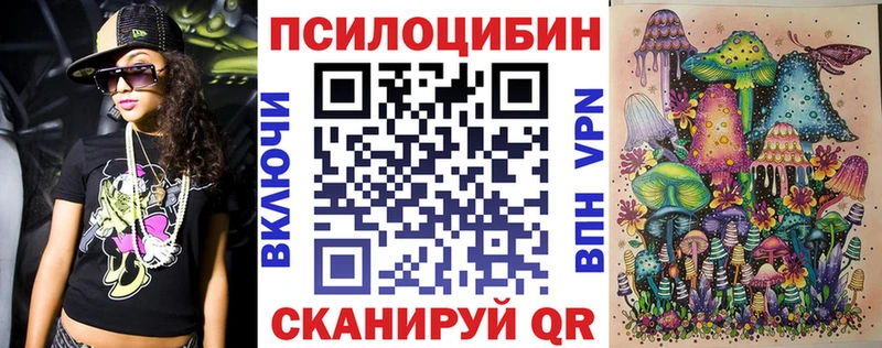 Псилоцибиновые грибы Cubensis  Купить  Светогорск 