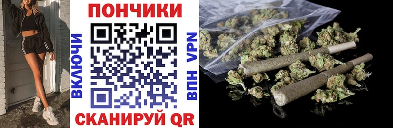 Купить где  Светогорск  Каннабис ГИДРОПОН 